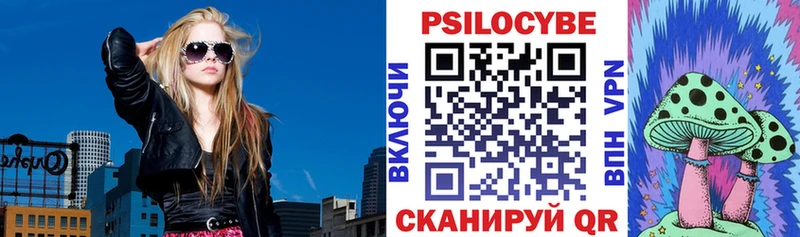 Псилоцибиновые грибы Psilocybe  Купить закладки  Кувандык 