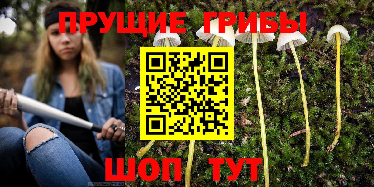 Галлюциногенные грибы ЛСД  Галлюциногенные грибы MAGIC MUSHROOMS  Кувандык 