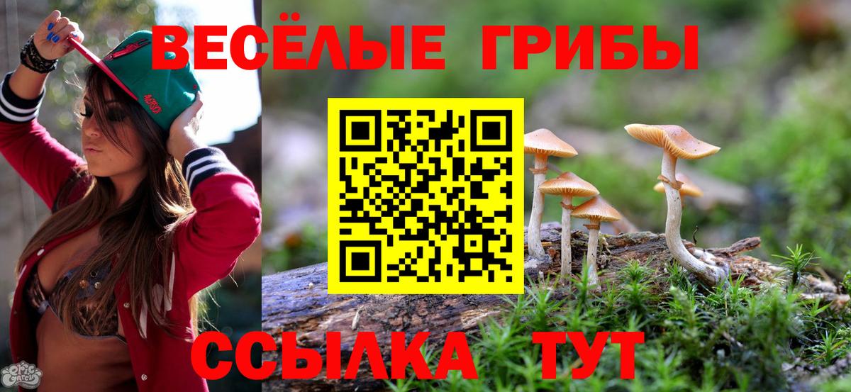 Псилоцибиновые грибы Cubensis  Вход с VPN  Кувандык  Галлюциногенные грибы Magic Shrooms 