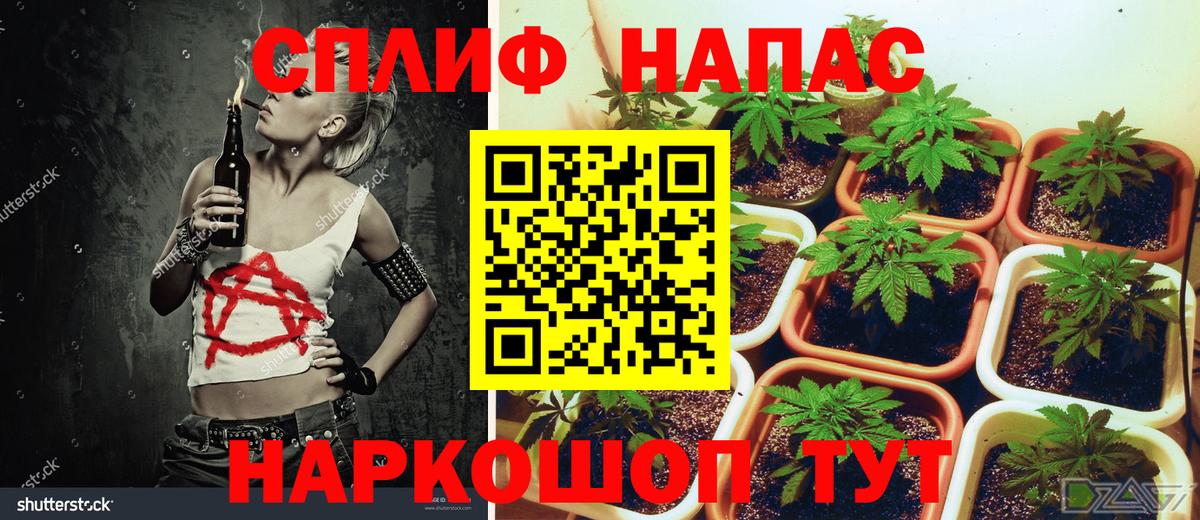 Канабис семена  Вход с VPN  Бошки Шишки MAZAR  Шишки марихуана Amnesia  Кувандык 